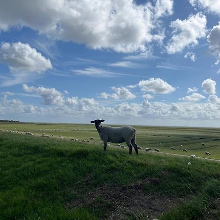 Frieda - Ferienwohnung Mit Deichblick Friedrichskoog Zewnętrze zdjęcie