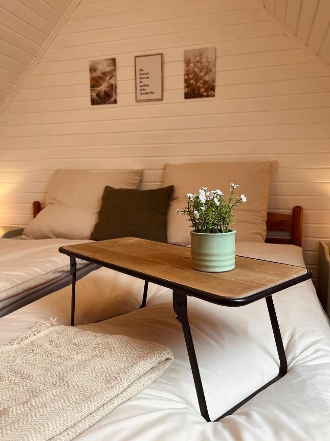 Frieda - Ferienwohnung Mit Deichblick Friedrichskoog Zewnętrze zdjęcie