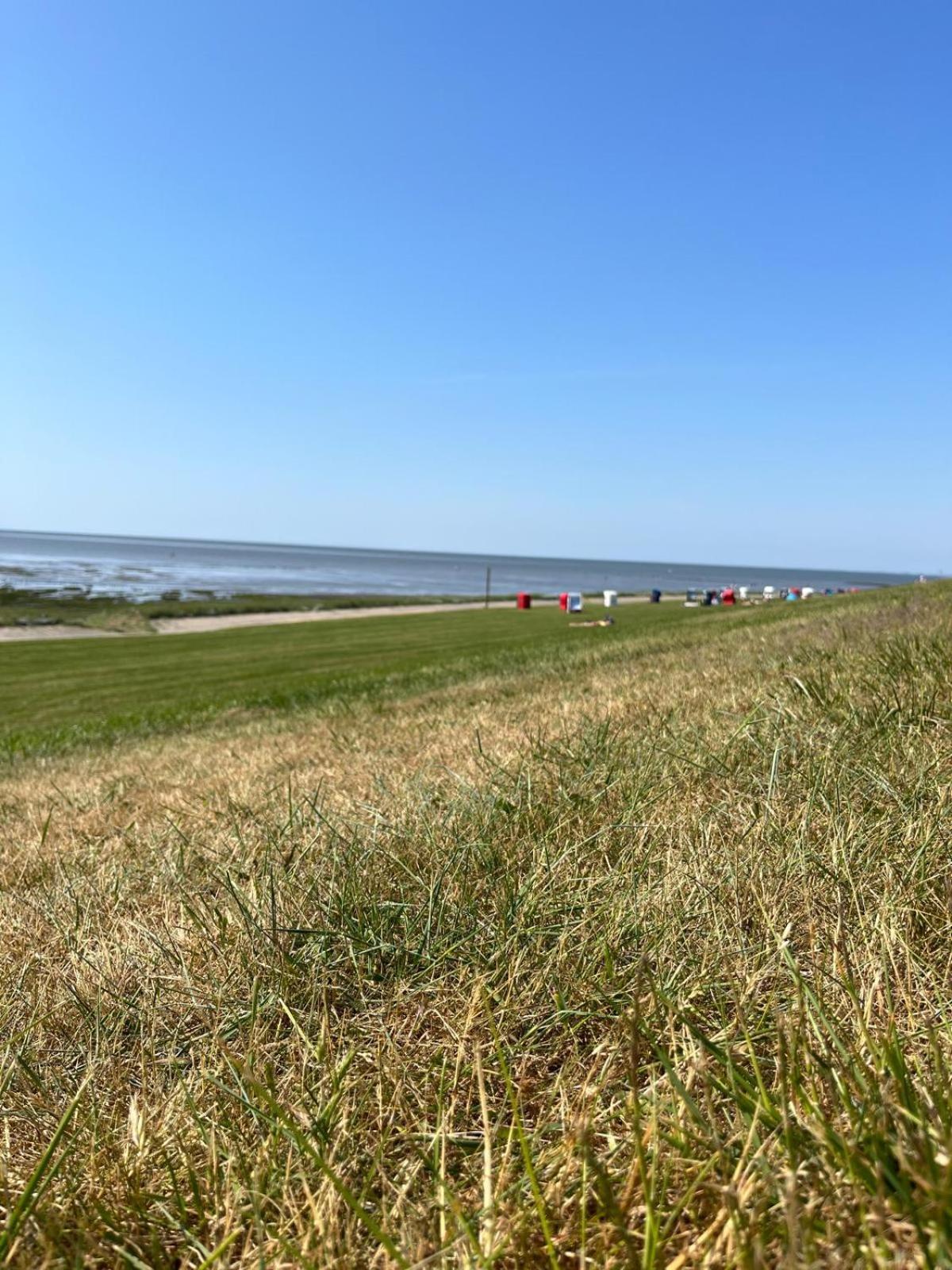Frieda - Ferienwohnung Mit Deichblick Friedrichskoog Zewnętrze zdjęcie
